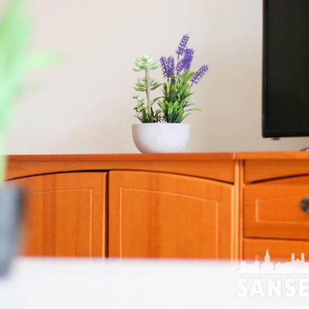 Apartamento Colon By Sanse Holidays San Sebastián Eksteriør billede