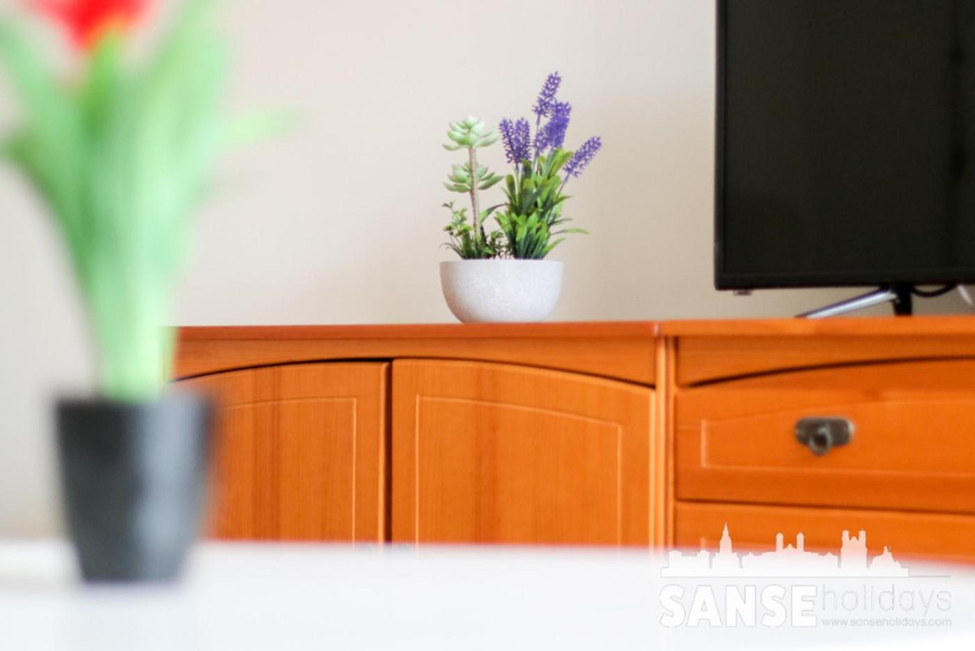 Apartamento Colon By Sanse Holidays San Sebastián Eksteriør billede